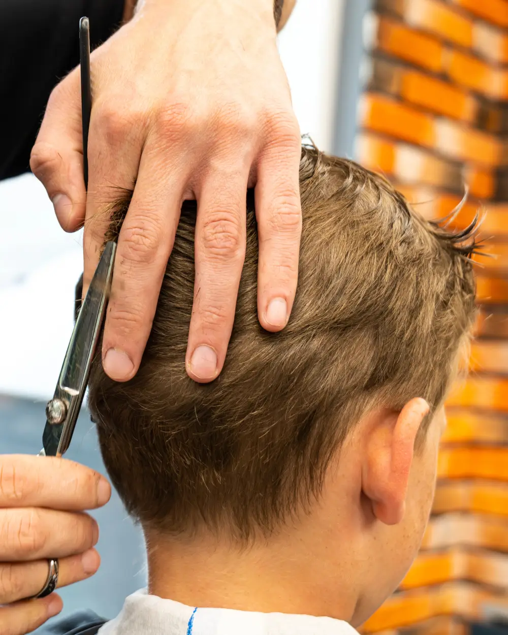 Corte de pelo Sabadell Unisex | El Petit Saló